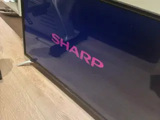 Sharp TV 