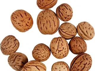 Ægte Nødder til Dekoration - 25g