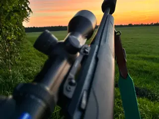 Tikka T3 x 308 Win. links