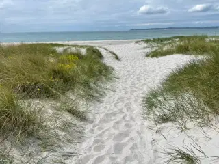 Sommerhus i Ebeltoft udlejes