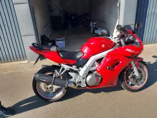 Suzuki SV 1000 