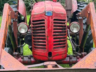 Bukh D30
