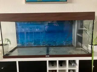 Juwel Akvarie 200 liter