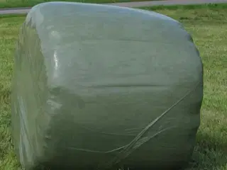 Wrap