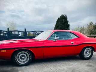Dodge Challenger V8