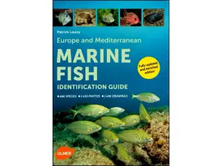 Marine Fish Identification Guide
