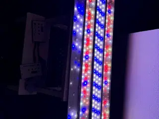 LED Belysning