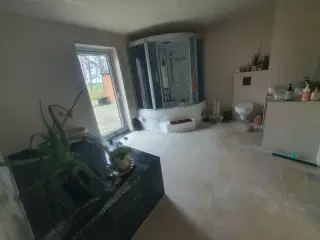 Landeejendom til leje med sparum.