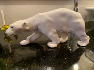 Kongelig isbjørn