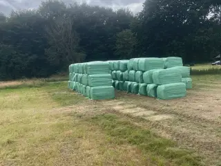 Wrap 2025
