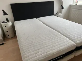 Elevationsseng