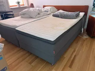 Enkelt elevationsseng - dunloppillo