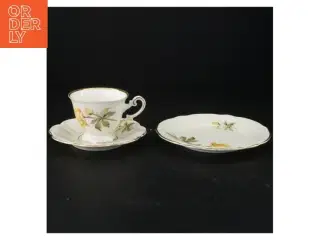Porcelænskopper og underkopper fra Antoinette (str. 16 x 8 cm)