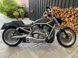 Harley Davidson v-rod vrsca 