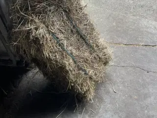 hø