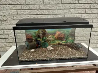 Akvarier 54L 