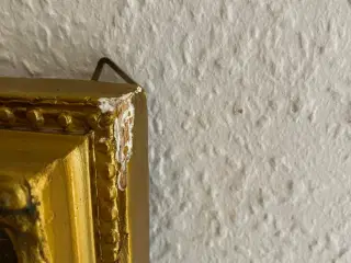 Spejl