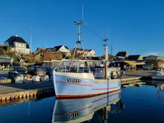 Fin lille trækutter