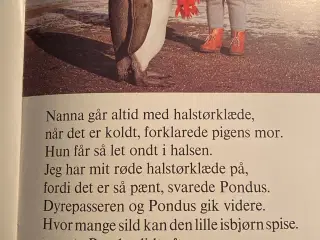Pingvinen Pondus 