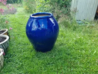 To store blå runde havekrukker 