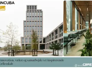 Innovation. vækst og samarbejde i et inspirerende fællesskab