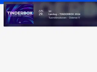 Lørdags billet til Tinderbox 2024