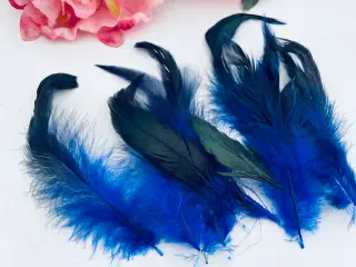 Fjer i blå, mørke og grønlige nuancer 