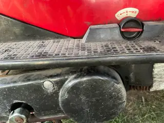 Vespa garillo 