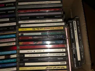 CD samling