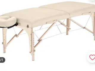 Massagebriks, Earthlite 