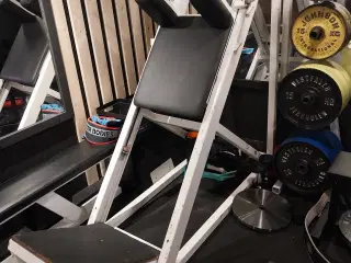 Hack squat  ben press 