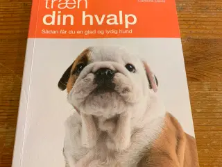 Træn din hvalp