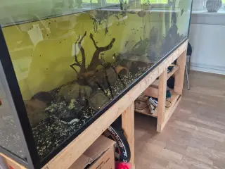 Akvarie plus pumpe 
