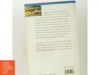 Det irske hotel af Maeve Binchy (Bog)