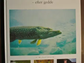 fluefiskeri efter gedde  af michael jensen
