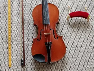 Violin mm