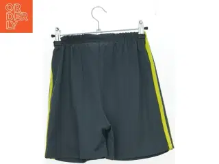 Shorts fra Adidas (str. 176 cm)