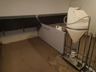 - - - Smågrise stier med automater