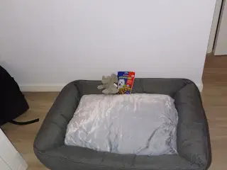 Søger labrador hvalp