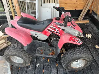 Atv 2takt 100cc Dolphine