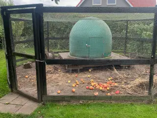Hønsehus og gård
