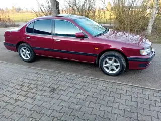 Nissan maxima v6 nysynet 