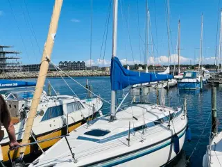 Nordship 808