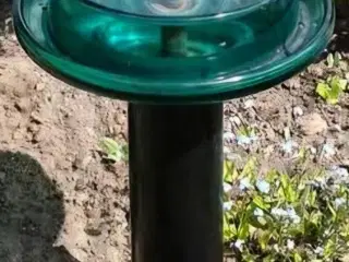 Fuglebad i glas