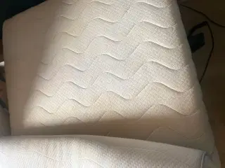 Elevationsseng