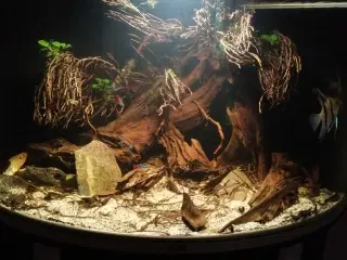 Unikt Hjørne akvarie