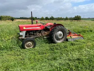 Massey Ferguson 135 benzin 