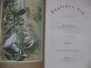Dr. A. E. Brehm (1829-1884). Fuglenes Liv fra 1871