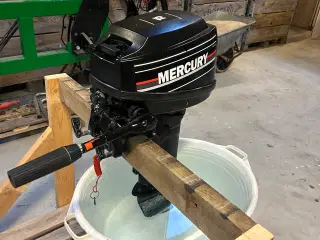10 fods gummi/rib båd med 15 hk mercury motor 
