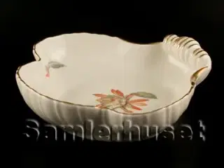 Kaktus Kagefad Musling.